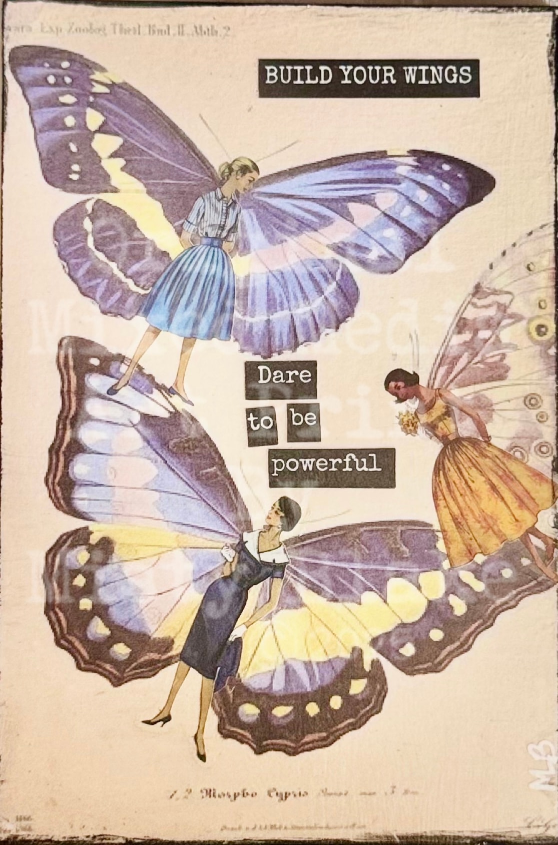Build your wings dare to be powerful vintage butterfly women