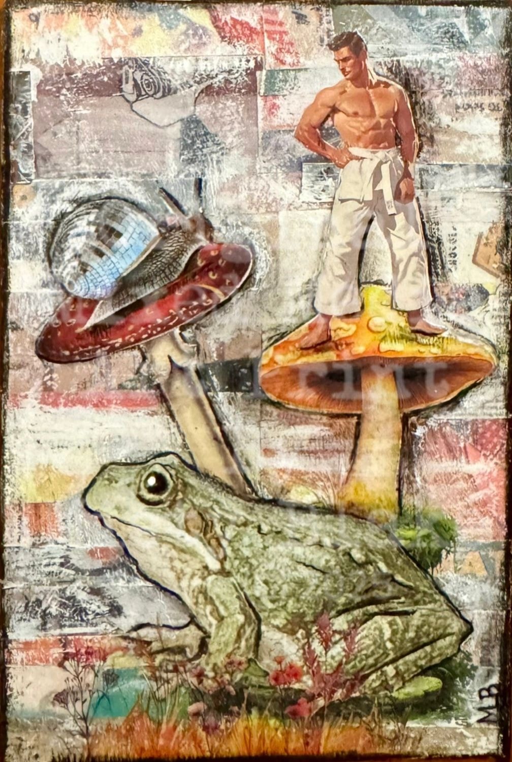 Vintage collage man mushrooms frog shells